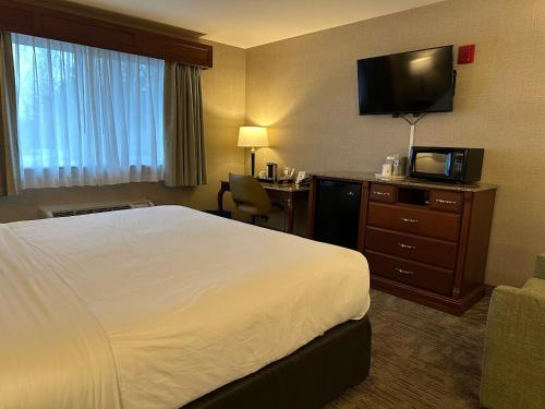 Medallion Inn and Suites