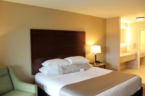 Medallion Inn & Suites Room Type - Deluxe King Suite