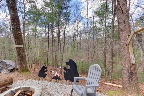 Blue Ridge Cozy Cabin in the Woods with Hot Tub!