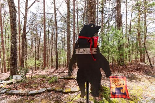 Blue Ridge Cozy Cabin in the Woods with Hot Tub!