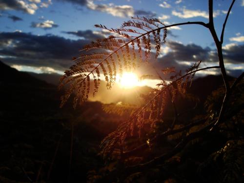 Skats, Rumi Wilco Ecolodge & Nature Reserve-Cabañas & Camping (Rumi Wilco Ecolodge & Nature Reserve-Cabanas & Camping) in Vilcabamba
