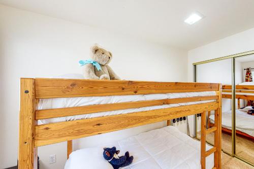 Edelwiess Wonder Edelwiess Wonder