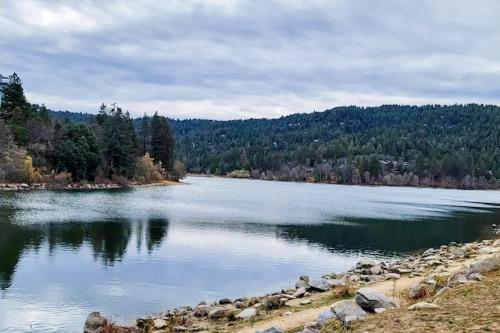 Edelwiess Wonder Edelwiess Wonder