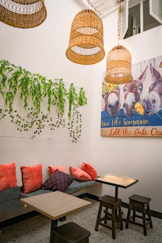 Kitchen, DeRequka Hostel in Universidad