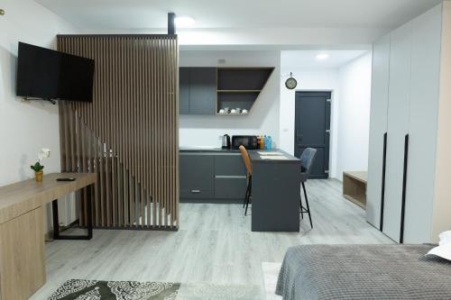 Studio with Parking in Frasin - Apartment