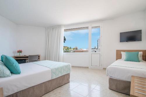 Santa Rosa - image 10