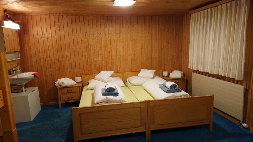 Gasthof Surselva - image 2