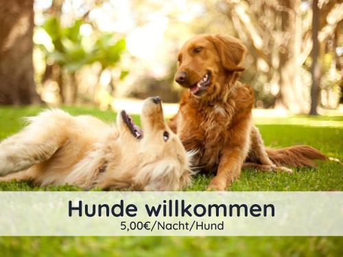 Der Fuchsbau - Fewo LePetit - im sonnigen Harz - Hunde willkommen - 100m bis zum Wald - FREE WLAN