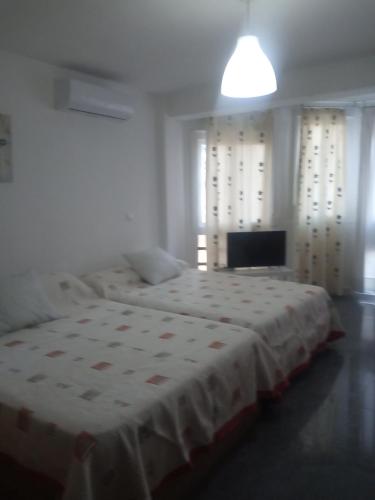  Estudio Plazamar in Torre del Mar