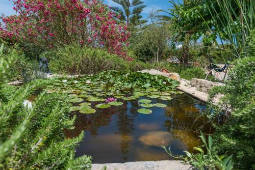 Casa Angela - image 4