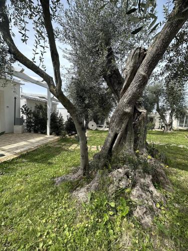 Frontemare Hotel Village & Ristorante