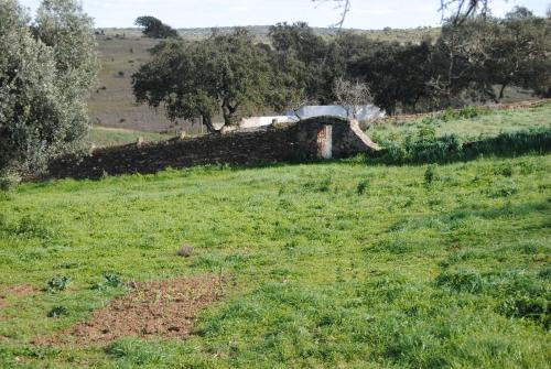 Herdade dos Mestres - image 5
