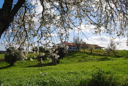 Herdade dos Mestres - image 4