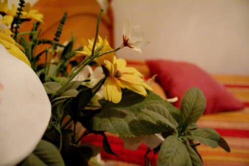 Hostal Ramón y Cajal