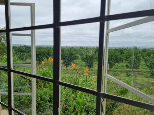 Clivedon Cottage in Kirkwood