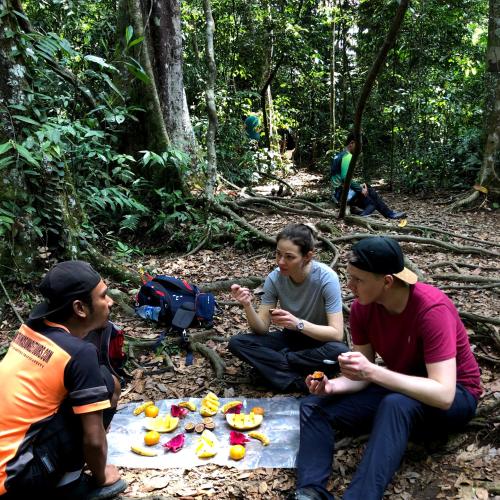 Thomas' Retreat Bukit Lawang