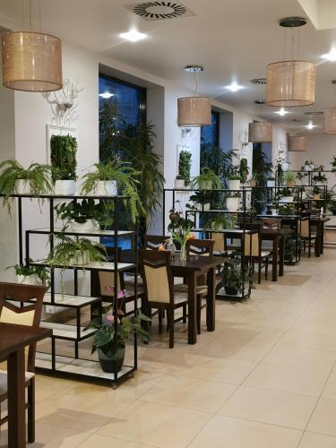 Hotel Forum Fitness Spa & Wellness - image 12