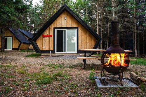 Viesnīcas āriene, Wild Pines Cabins in Eldon (PE)