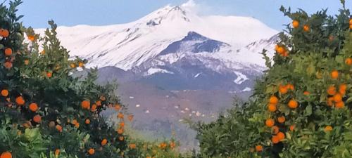 Agriturismo Gli Aranci dell'Etna