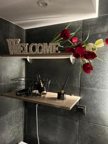 MSK Rotonda Studio 1