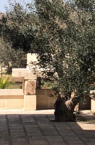  MAMA RELAX 3 a un passo dal mare con piscina in Cursi