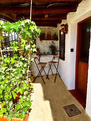 Bejárat, Casa Soportújar las flores (Casa Soportujar las flores) in Carataunas