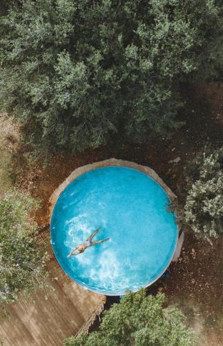 Slowness - Kibbutz Moran