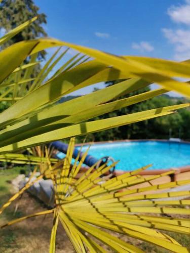 Peldbaseins, LE MACHAON , Gîte rural *** avec espace piscine privé (LE MACHAON , Gite rural *** avec espace piscine prive) in Champagneux ciems