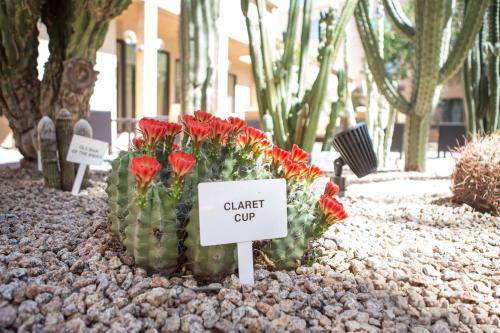 Courtyard by Marriott Phoenix Mesa