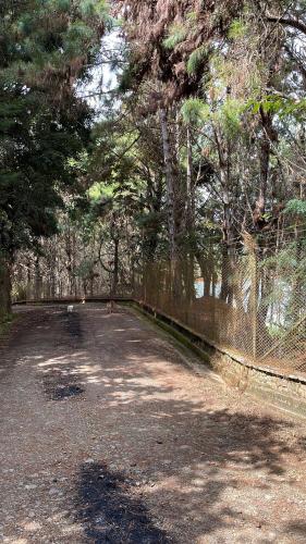 HERMOSA CASA DE CAMPO A POCOS METROS DEL LAGO CALIMA