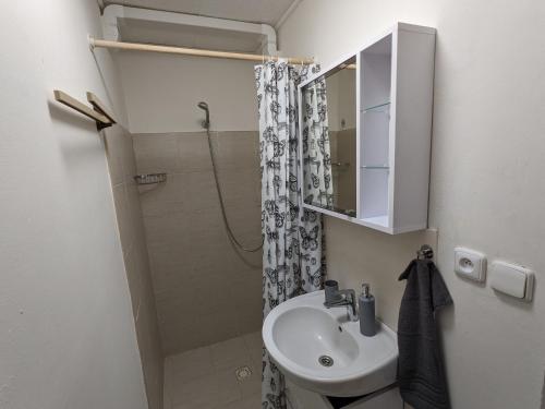 ฝักบัว, Útulné studio u Mariánského údolí v Brně - Líšni (Utulne studio u Marianskeho udoli v Brne - Lisni) in ลิเซน