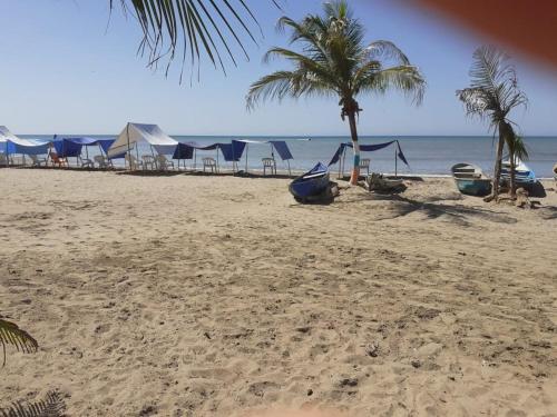 Exterior view of PLAYA MAG