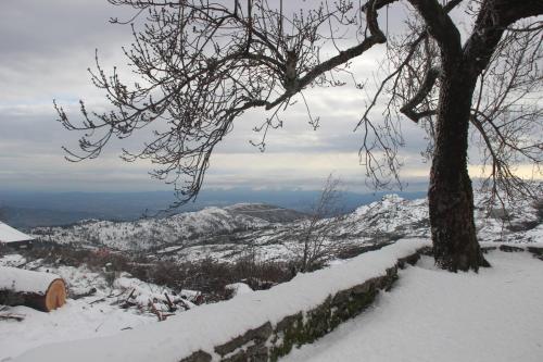 Primor Serra AL 2 Primor Serra AL 2