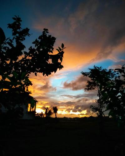 Surrounding environment, Medewisurf-homestay near Pekutatan Beach