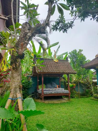 Medewisurf-homestay