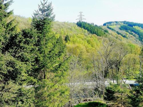 Cozy Chalet in La Roche-en-Ardenneon Belgium with Terrace