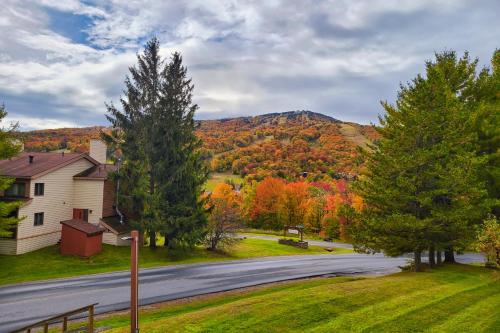 Mountain Village 5H Unit A in Dover, USA