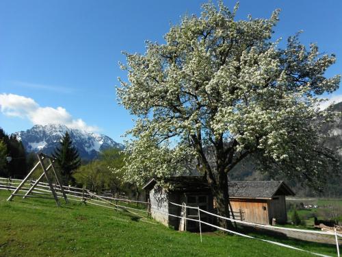  Berghof Thurnergut in Spital am Pyhrn