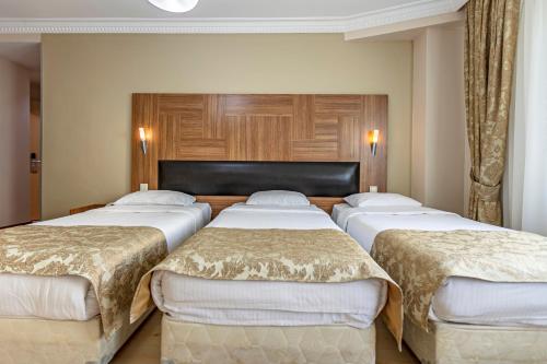 Elasophia Hotel, Istanbul (photo 5)