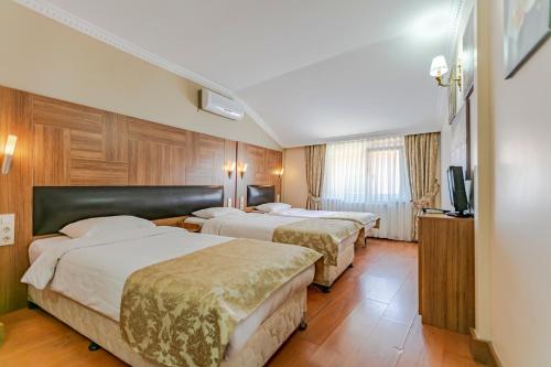 Elasophia Hotel, Istanbul (photo 6)