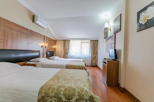 Elasophia Hotel, Istanbul (photo 7)