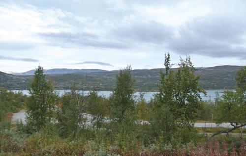 Skats, Holiday Home Haugastøl Xxxix in Haugastol