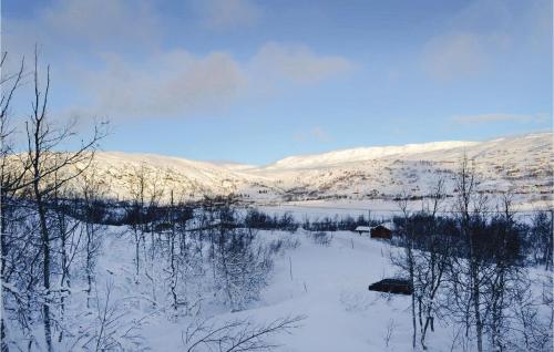 Iekārtas, Holiday Home Haugastøl Xxxix in Haugastol