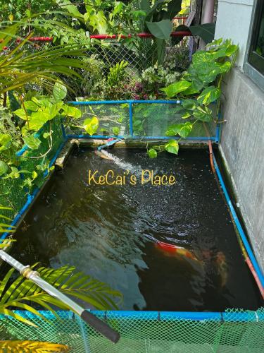Recreational facilities, KeCai’s Place in Digos