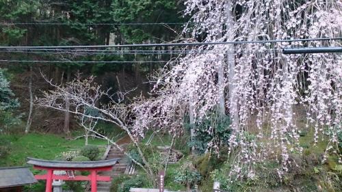 美吉野櫻庵賓館