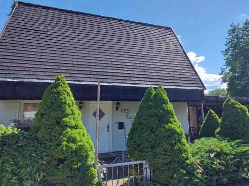  Holiday home in Bad Mitterndorf - Steiermark 41125 in Bad Mitterndorf