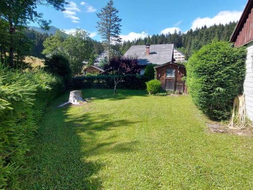 Holiday home in Bad Mitterndorf - Steiermark 41125