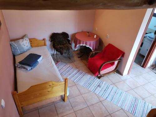 Forest House - Zăbala