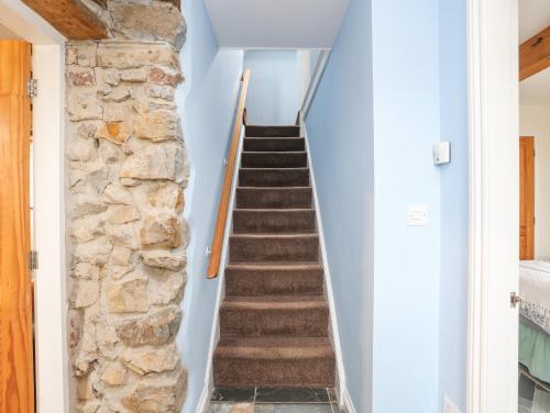 Plas Cefn Mawr - image 13