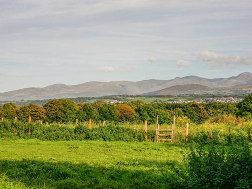 Plas Cefn Mawr - image 14
